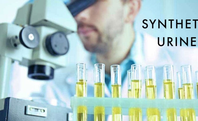 Synthetic Urine Instant Drug Test Rochester NY 14683